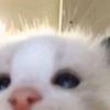 bubbie_11