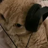 nicoollius