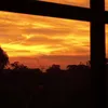 alishameilane_0420