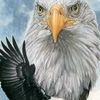user9611463280720g