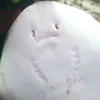 snwstmn