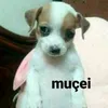 iluzi92