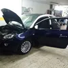 angelovolpe56