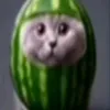 quaduaroloc