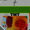 .tmt4045