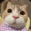 bxaanhne_77