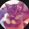 gho_gho70