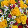 abdulazizabdulazi455