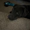 bayleighm530