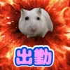 hakuchan_12