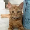 littlelolalita