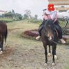 nairaelinor