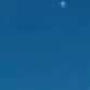 wwwwww117766