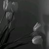my_yu_25