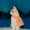 vivicadabosta