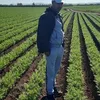 hassan.elkarafi