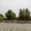 yosafbaloch195