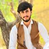 paktiawall64
