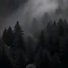o_f6_l