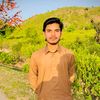mirzajibran15