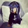 bennos_dackelwelt