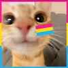 mikey_fan4