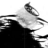 azyan_23