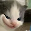 akhoaa_1908