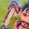 kami.musfar.401