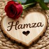 hamza_mughal463