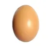 egg3224