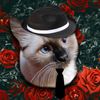 kellyscats_alley