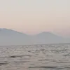 _conmecuc_