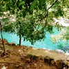 habibaell595