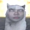 toanhinhtha.tdi