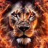 nebo_85