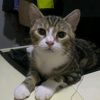 user92006511449510