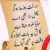 hussainmalik47632