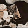 nour474119