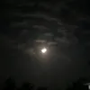 alawiyah2626