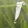 nnjknani