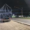dandicodet_