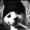 raph_lib_