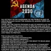 Die NWO