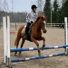 sohvixz.0