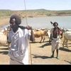 yaam497