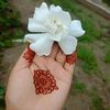 rozina8975