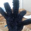 mateofrancobarrie