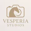 vesperia_studios