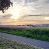 shazadi9162